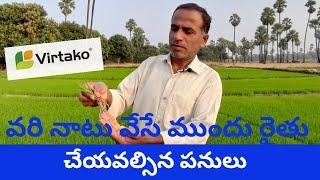 వరి నాటు ముందు తీసుకోవాల్సిన మెళకువలు | వరి నాటు వేస్తున్నారా? ఈ పనులు చేయండి | karshaka nestham