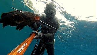 zıpkınla balık avı MUĞLA, spearfishing turkey...