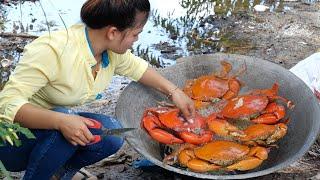Catch and cook Mud Crab using Giant Pod - Coconut Stream Big Crab