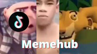 Meme Hub Funniest Tiktok Memes 2022