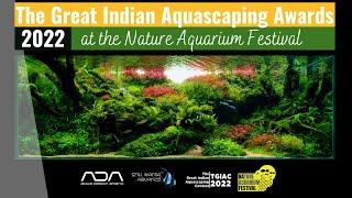 India's Best Competitive Aquascapes | Results of The Great Indian Aquascaping Awards 2022 | NAF 2022