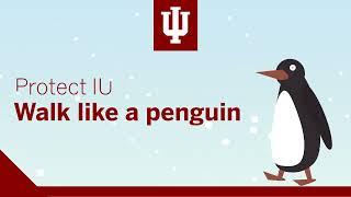 Protect IU – Walk like a penguin