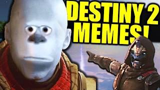 These Destiny 2 Memes made me LOSE MY MIND... 