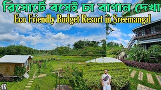 Sreemangal Resort - অরণ্যের দিন রাত্রি | Eco Friendly Tea Garden Resort | শ্রীমঙ্গল রিসোর্ট রিভিউ