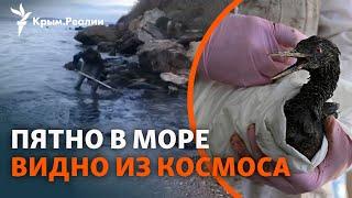 Мазут в Черном море «доплыл» до курортной зоны. Как в Крыму (не) борются с загрязнением воды