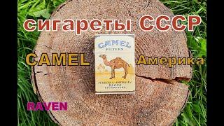 сигареты СССР CAMEL Америка