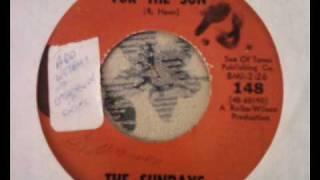 The Sunrays - I Live For The Sun