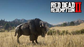 Red Dead Redemption 2 - Legendary Takana Bison herd