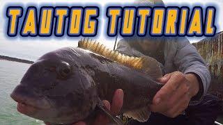 TAUTOG FISHING Tutorial for BEGINNERS (TIPS, TRICKS, TECHNIQUES, HOW TO)
