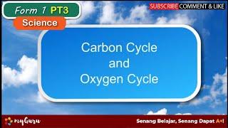 Form 1 | Science | Carbon Cycle and Oxygen Cycle