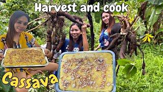 Harvesting Cassava roots in the forest | Life in the province | Mindoro
