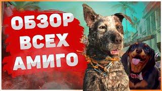 ГДЕ НАЙТИ ВСЕХ АМИГО? | ОБЗОР НАПАРНИКОВ FAR CRY 6 | Бумер, Чоризо, Олусо и другие.