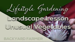 Landscape Lesson: Unusual Vegetables