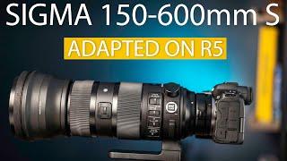 Sigma 150-600mm Sport Review | Canon R5 R6 | RF adapted lenses