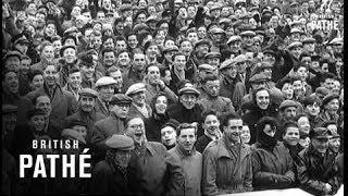 Special - Hampden Park - Scotland V. Hungary Aka Scotland V Hungary (1954)