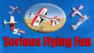 Absolute Flying Fun Radiolink a560 3d Trainer RC Plane