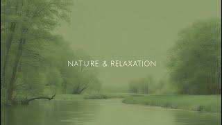 Relaxamento Profundo #1 – Música Ambiente para Tranquilidade
