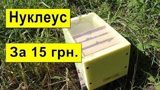 Как Сделать Нуклеус за 15 грн? Размеры микронуклеуса, Нуклеус для облёта маток работает отлично