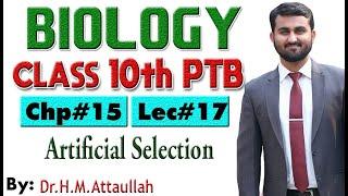 Artificial selection- Selective breeding  | Chapter # 15 | Biology Class 10th | Lec# 17