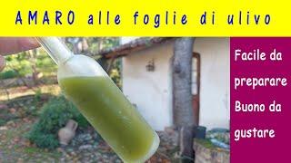 Amaro alle foglie di ulivo (olivo): ottimo da gustare, facile da preparare, originale per regalare