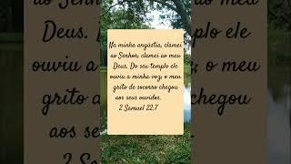 O Senhor ouve aqueles que o buscam de todo coração.#fé #mensagemdedeus#deuséfiel#oração.