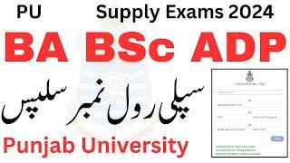 BA BSc supply 2024 Roll No Slips PU | ADP Supply Exams 2024 Roll No Slips | ADA ADS ADC Supply PU