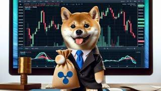 XRDoge Doubles Again