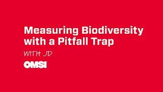 Measuring Biodiversity with a Pitfall Trap