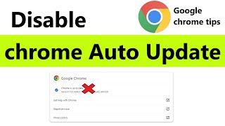 Permanently Disable Google Chrome Auto Updates 2024 | How To Disable Automatic Updates in Chrome