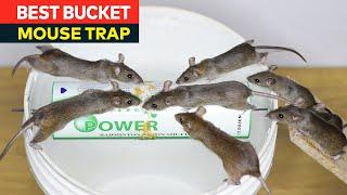 Best bucket mouse trap/Homemade rat trap ideas | Most effective mousetrap
