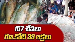 A fisherman who became a millionaire in one day Fisherman Nets Ghol Fish & Earens 1.33 Crore @Maharashtra