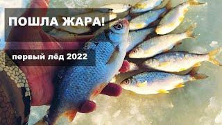 Плотва на безмотылку. Первый лёд 2022. Рыбалка в Нижегородской области. Безнасадка. Открытие сезона.