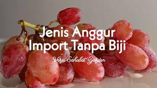Jenis Anggur Import Tanpa Biji
