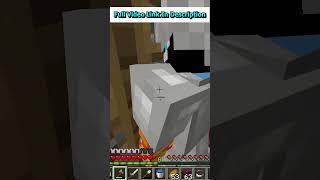 Piglins can actually Open Doors in Minecraft | Modish Gamer | #shorts