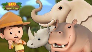 GIANT ANIMALS!  Elephants, Hippopotamus and MORE!  | Leo the Wildlife Ranger | Kids Cartoons
