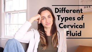 The Different Types of Your Cervical Fluid