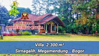 Villa yang ADEM oleh pepohonan PINUS dengan HALAMAN yang LUAS sering disewa untuk berbagai ACARA