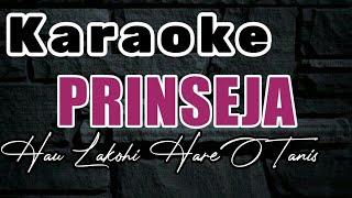 Karaoke Music Tetun _ Prinseja