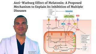 Melatonin KILLS Cancer: REVERSES Warburg Effect & INHIBITS Glucose