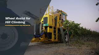 Oxbo 620 Grape Harvester