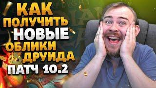 ОБЛИКИ ДРУИДА 10.2 ТРАНСМОГРИФИКАЦИЯ БАЛАНС ДРУИД DRAGONFLIGHT WOW ОБЛИКИ ДРУИДА 10.2 IVELKNOW