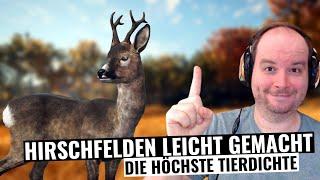 Hirschfelden leicht gemacht, Spot mit der höchsten Tierdichte! || theHunter Call of the Wild