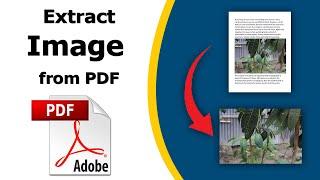 How to extract images from a pdf file using adobe acrobat pro dc