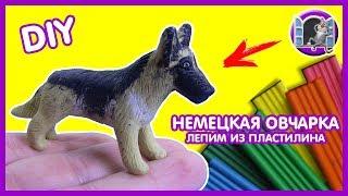 ЛЕПИМ НЕМЕЦКУЮ ОВЧАРКУ ИЗ ПЛАСТИЛИНА | Видео Лепка