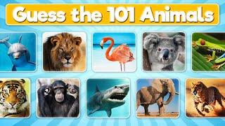 Guess the Animal Quiz | 101 Animals Quiz