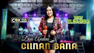 CIINAN BANA - DINI ANDINI - NEW ELSAMBA Live Pacarpeluk Megaluh Jombang