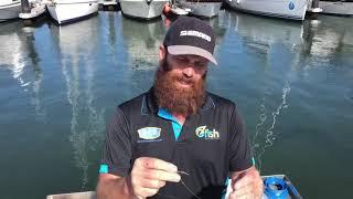 Fishing tips on catching Mulloway/ Jewfish/ Chrome Ghost in the Hunter River using live bait.