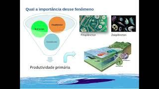 Ressurgência Costeira e a sua influência na produção primária