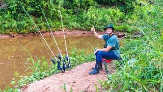 Fishing for Flathead Catfish in a Small Creek! (Bank Fishing!)