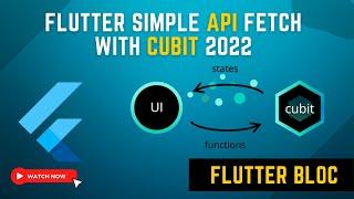 Flutter Api Fetch With Bloc/Cubit 2022 || Flutter Bloc